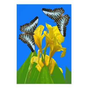 Photo Enlargement Print