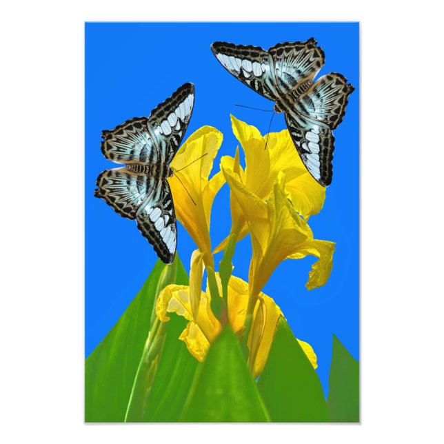 Photo Enlargement Print (Front)