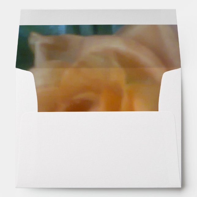 Photo Envelope (Back (Bottom))