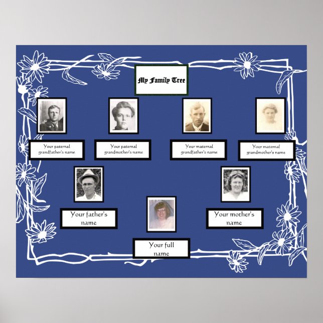 Photo Family Tree Daisy Art Border on Blue Poster (Front)