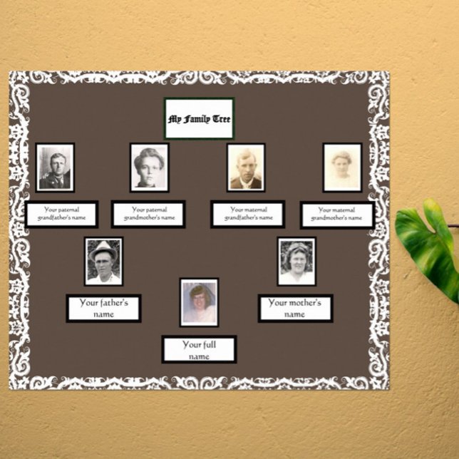 Photo Family Tree Lace Look Border on Brown Poster (Creator Uploaded)