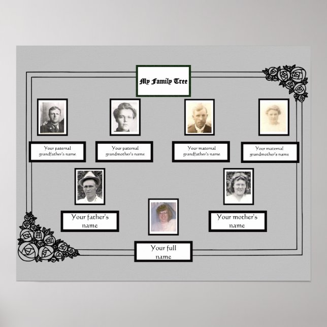 Photo Family Tree Rose Drawing Border on Grey Poster (Front)