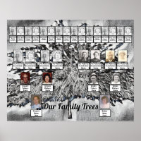 Photo Family Trees on Black and White Digital Art