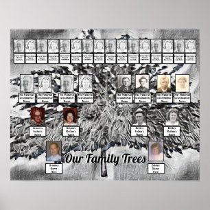 Photo Family Trees on Black and White Digital Art Poster