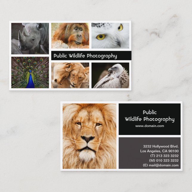 Photo Frame Photography Photographer Business Card (Front/Back)