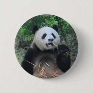 Photo Giant Panda 6 Cm Round Badge