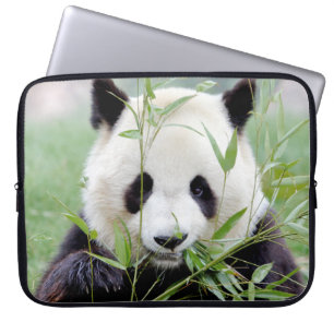 Photo giant panda , animals laptop cases .
