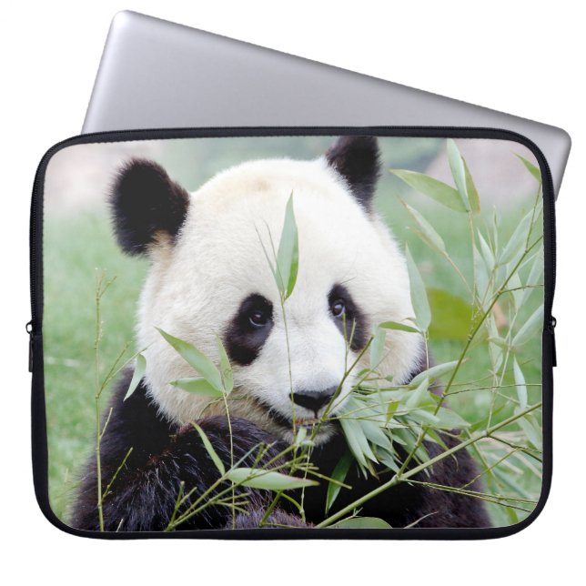 Photo giant panda , animals laptop cases .  (Front)