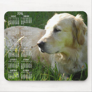 Photo Golden Retriever Calendar 2016 Mouse Pads