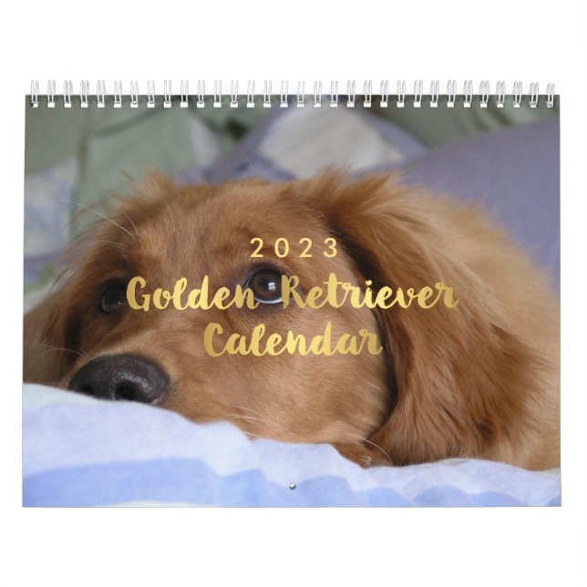 Photo Golden Retriever Calendar 2023 (Cover)