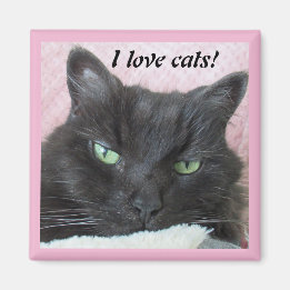 Photo I Love Cats Magnet