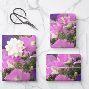 Photo Image Of Morning Glory Pink & Purple Flowers Wrapping Paper Sheet