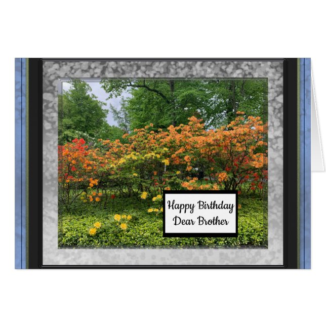 Photo Images for Dear Brother Birthday Card (Front Horizontal)