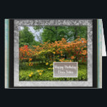 Photo Images for Sister Birthday Card<br><div class="desc">Wish your dear sister a happy birthday and add one of your own photos that she'll appreciate to the fancy frame borders on this card.  Speckled multicolor frames accent the photos.  Change wording as desired.</div>