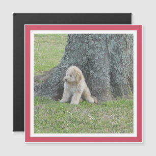 Photo Keepsake Modern Template Girly Pink Magnet