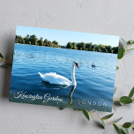 Photo Kensignton Gardens The royal Park LONDON UK Postcard<br><div class="desc">Beautiful white swan swimming in the round pond in Kensington Gardens Royal Park London UK - photography postcard - Sept 2019 - photo by Anka</div>