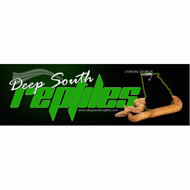 Photo Keychain Photo Sculpture Key Ring (Front)