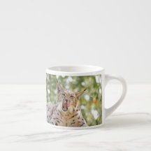 Photo lynx , cat , animals . espresso cup