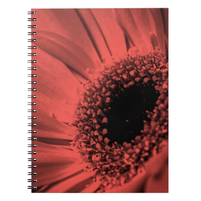 Photo, macro notebook (Front)