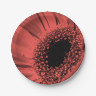 Photo, macro paper plate