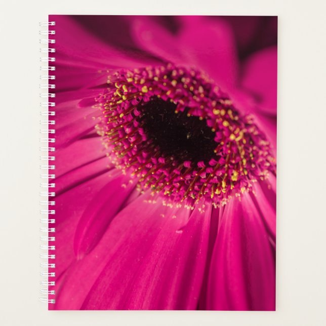 Photo, macro planner (Front)