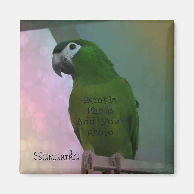 Photo Magnet (add your photo) Personalised (Front)