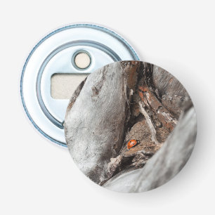 Photo magnetized bottle opener of a ladybird