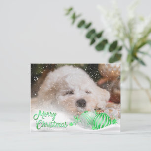 Photo Merry Christmas Snow Overlay Budget Green Holiday Postcard