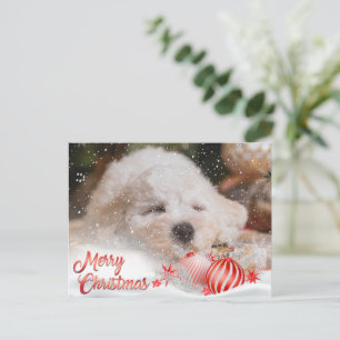 Photo Merry Christmas Snow Overlay Budget Holiday Postcard