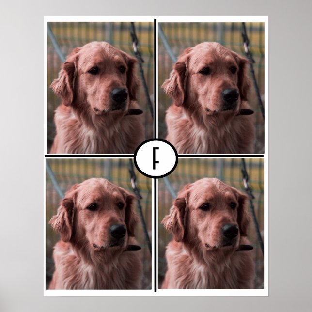 Photo Monogram Add Your own Images Poster (Front)