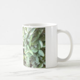 Photo mug