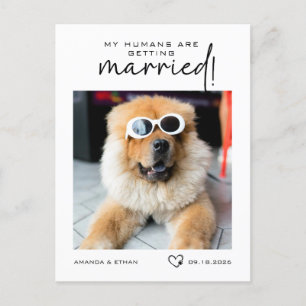 Photo My Humans Are Getting Married Save the Date Announcement Postcard