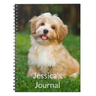 Photo  notebook