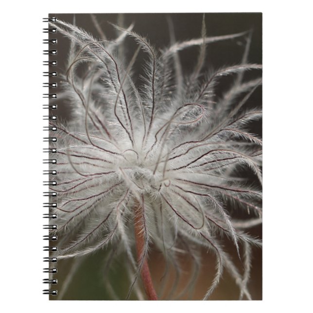 Photo Notebook (80 Pages B&W) (Front)