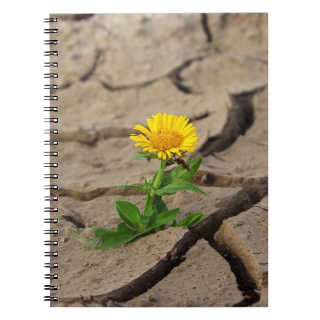 Photo Notebook (80 Pages B&W) (Front)
