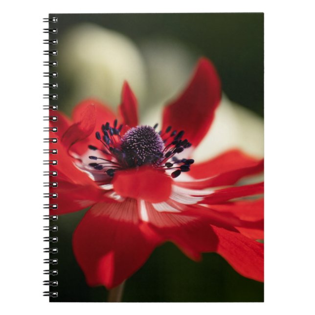 Photo Notebook (80 Pages B&W) (Front)