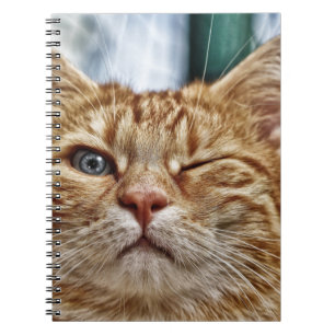 Photo Notebook (80 Pages B&W)