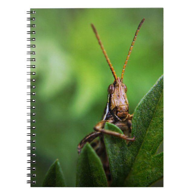 Photo Notebook (80 Pages B&W) (Front)