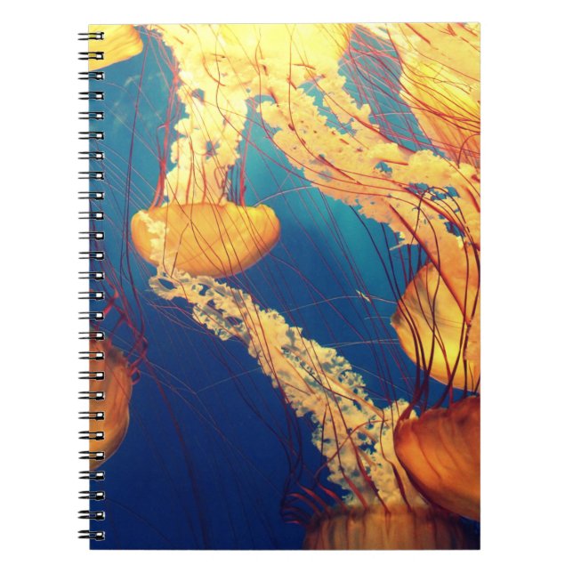 Photo Notebook (80 Pages B&W) (Front)