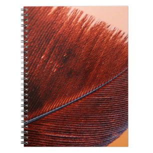 Photo Notebook (80 Pages B&W)