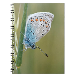 Photo Notebook (80 Pages B&W)