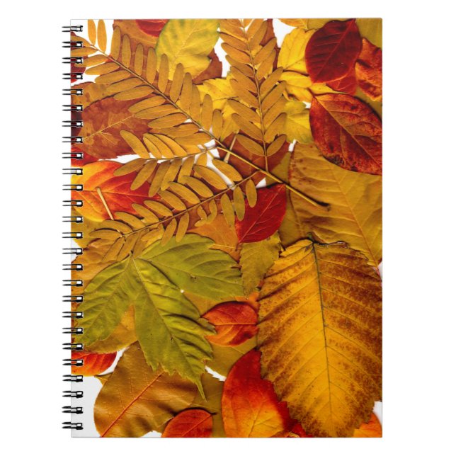 Photo Notebook (80 Pages B&W) (Front)