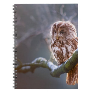 Photo Notebook (80 Pages B&W)