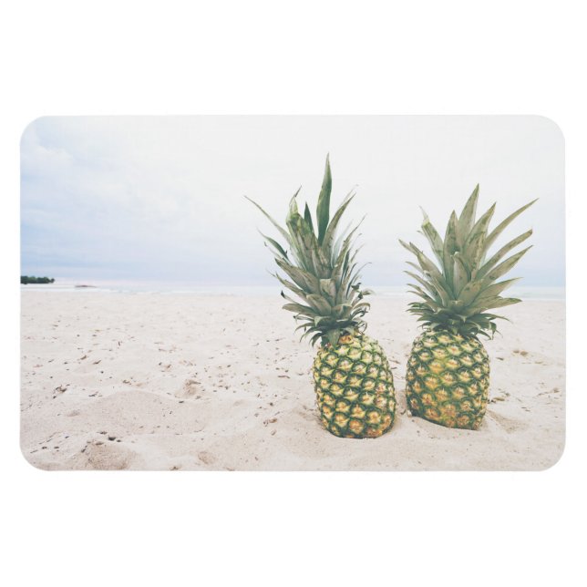 Photo of 2 Pineapples on a Beach Magnet (Horizontal)