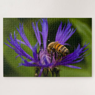 Photo of a beautiful purple flower with honeybee jigsaw puzzle