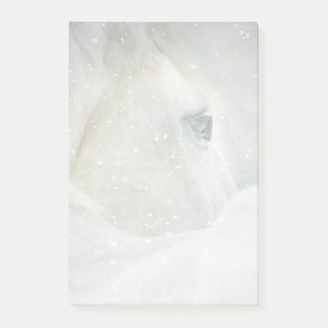 Photo of a Beautiful White Horse in Winter Post-it Notes (Front)