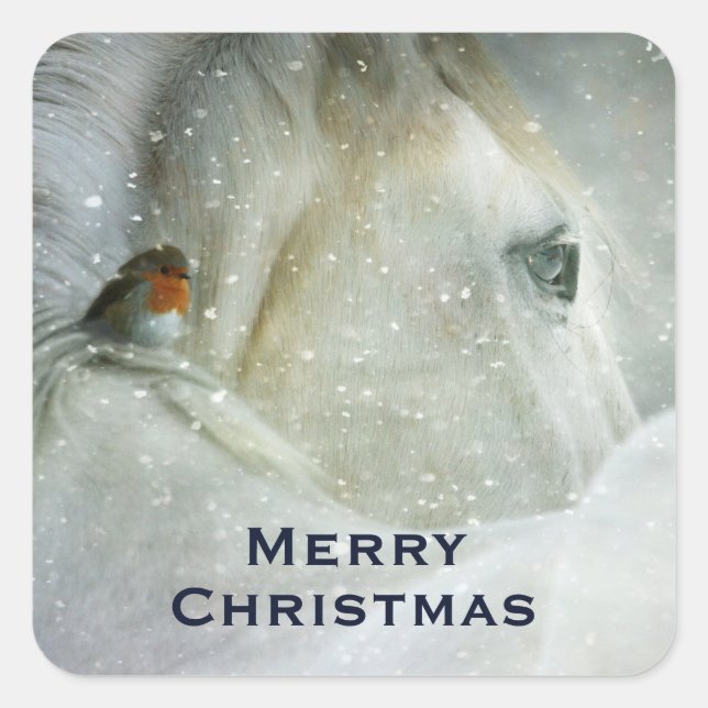 Photo of a Beautiful White Horse in Winter Square Sticker (Front)
