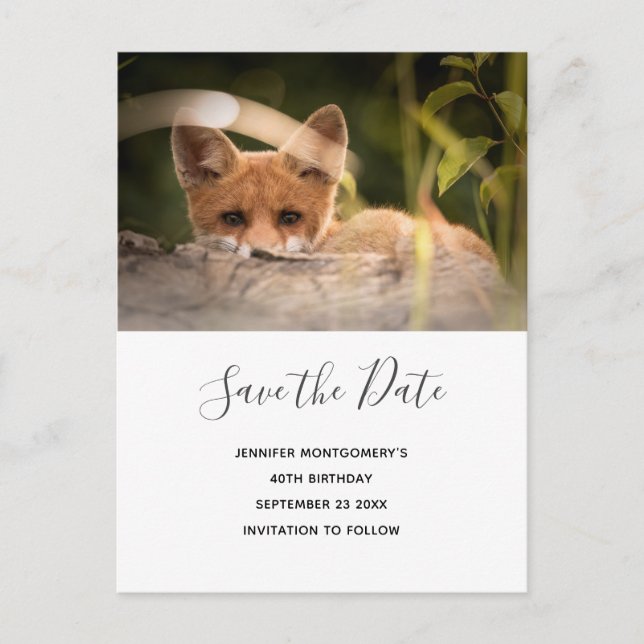 Photo of a Cute Little Fox Save the Date Invitation Postcard (Front)