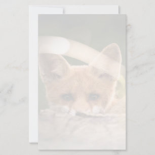 Photo of a Cute Little Orange Fox