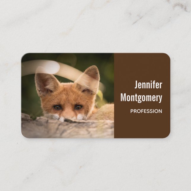 Photo of a Cute Little Orange Fox Business Card (Front)